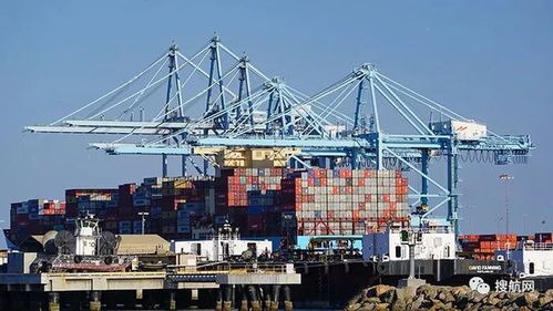 美国港口拥堵持续恶化,多数外贸货代企业将受影响